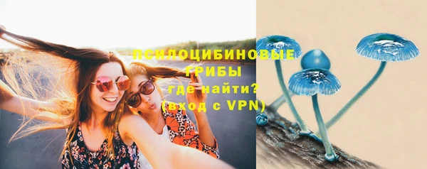 прущие грибы Алексеевка