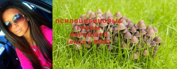 героин Алзамай