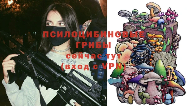 прущие грибы Алексеевка