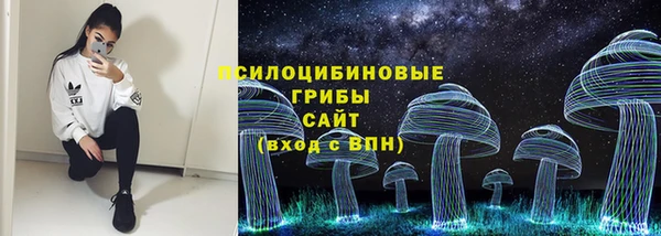 дживик Алексин