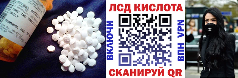купить   Каргат  гидра как войти  LSD-25 экстази кислота 
