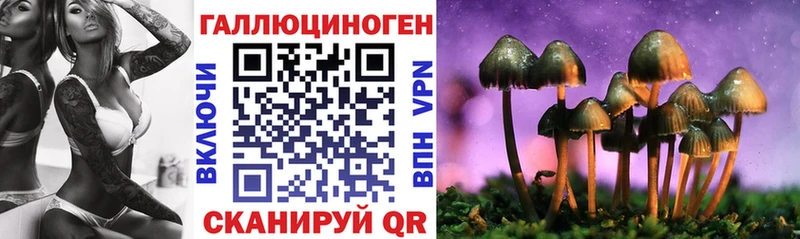 Галлюциногенные грибы мухоморы  Каргат 